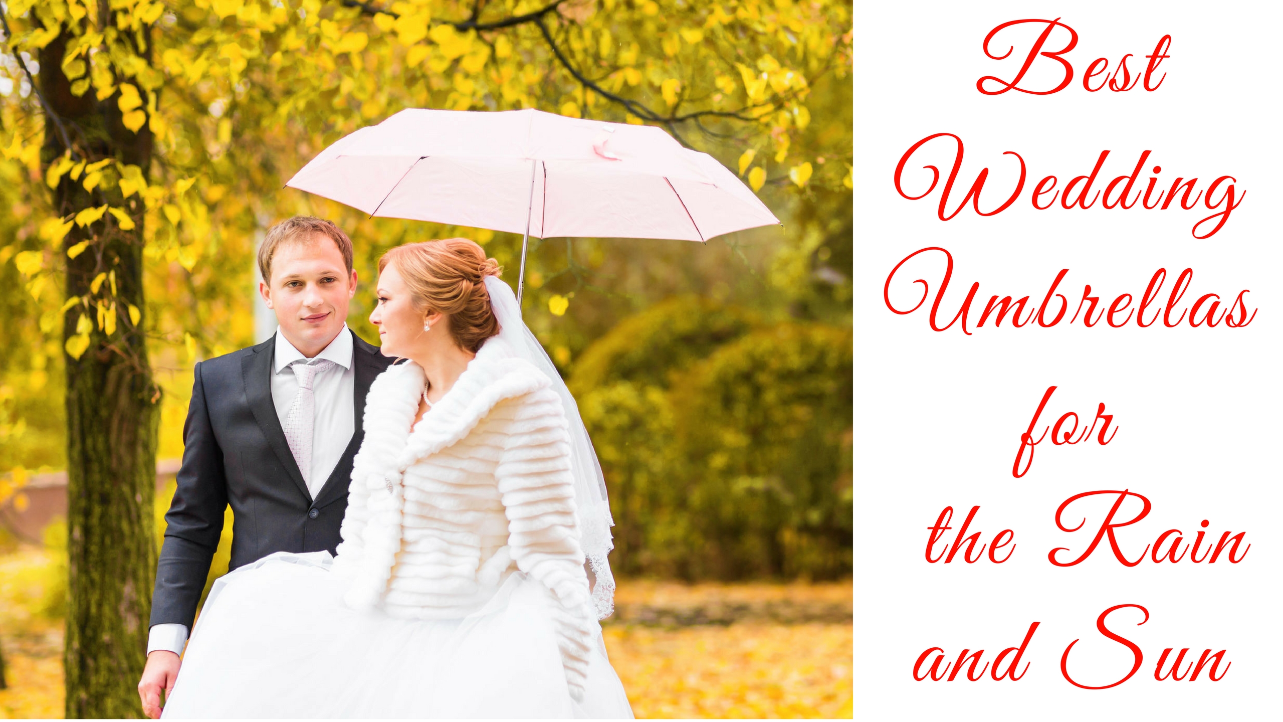 best wedding umbrellas