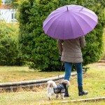 The Best Promotional Umbrellas for Urban crowd